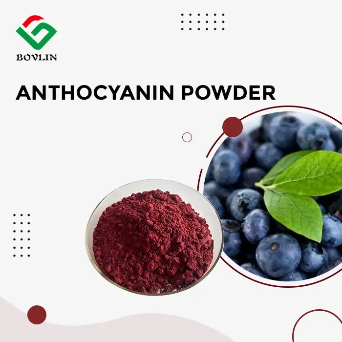 Anthocyanin Powder